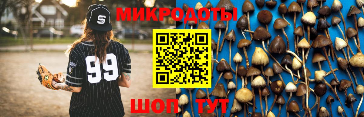 Галлюциногенные грибы мухоморы Златоуст