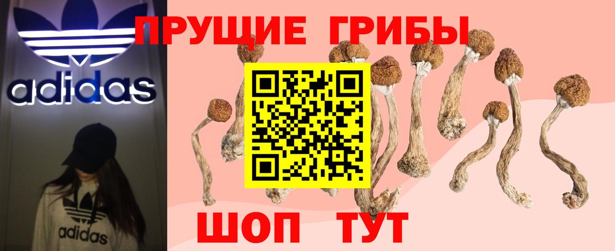 Златоуст  Галлюциногенные грибы Psilocybine cubensis  Вход с VPN 